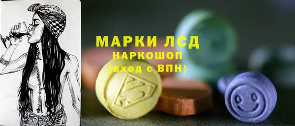 сатива Аркадак