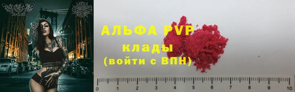 сатива Аркадак