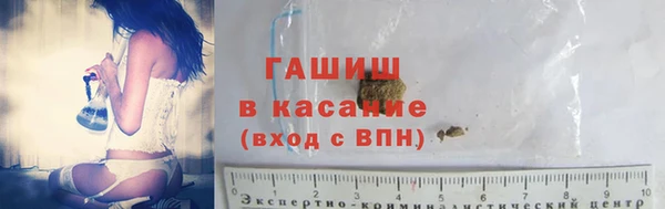 сатива Аркадак