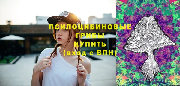 сатива Аркадак