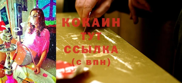 сатива Аркадак