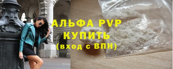сатива Аркадак