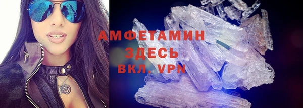 сатива Аркадак