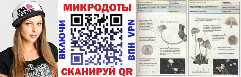 Псилоцибиновые грибы мицелий  купить наркоту  Можайск 